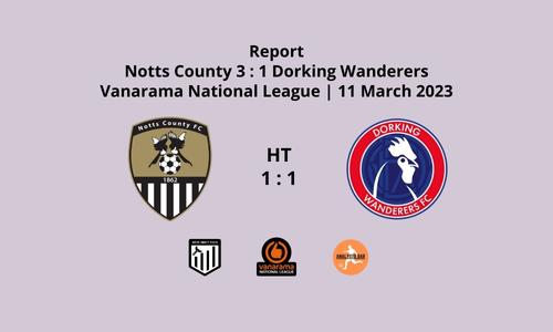 Report | Dorking Wanderers (h)